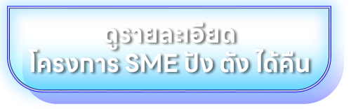 รายละเอีนดโครงการ SME ปัง ตังได้คืน